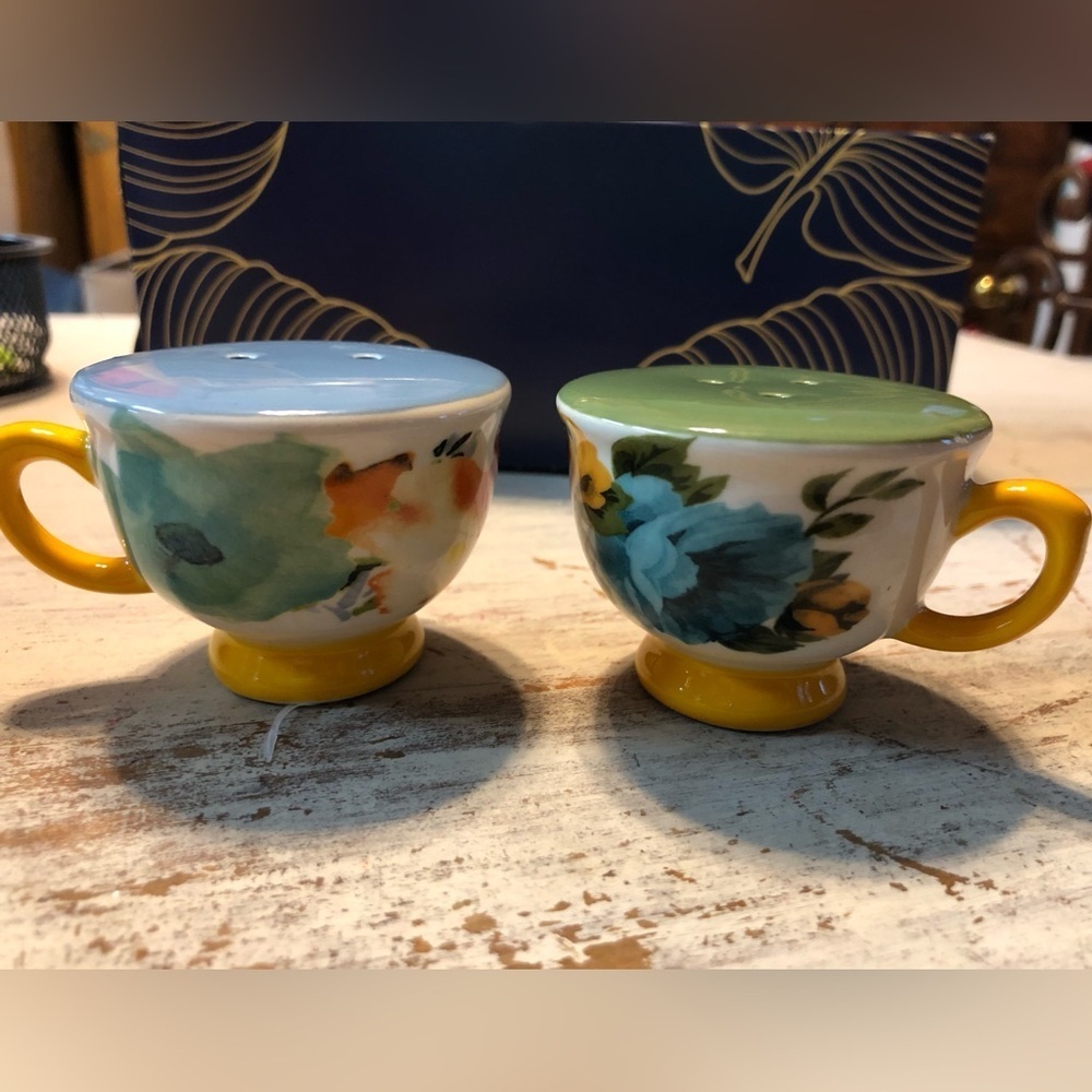 NWT Pioneer Woman Rose Shadow salt and pepper shakers. Hard to find